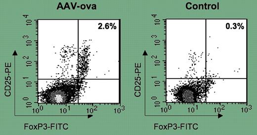 Characterization of regulatory CD4+CD25+ cells isolated from AAV-EF1α-ova–transduced DO11.10-tg RAG-2−/− mice. See the complete figure in the article beginning on page 1132.