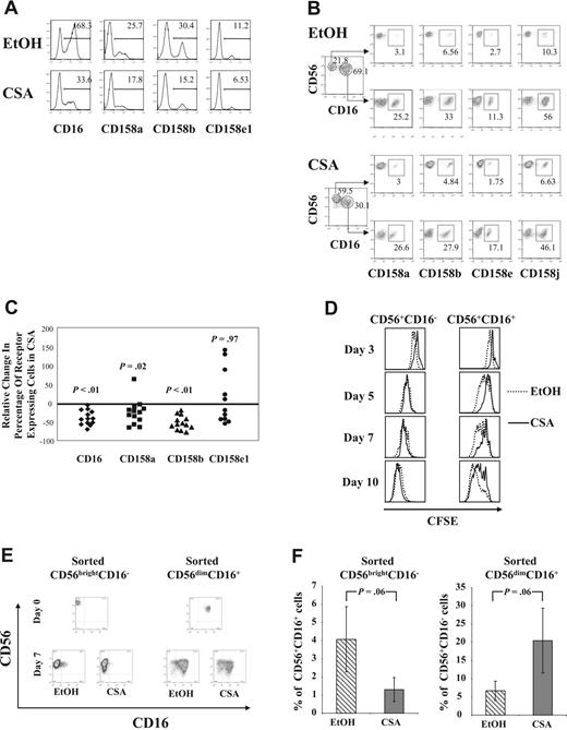 Figure 2. Following culture with CSA, there are fewer KIR-expressing cells due to a reduction in CD56+CD16+ cell proliferation. (A) Results from cells from a representative donor after 7 days of culture with IL-2 (100 U/mL) and IL-15 (10 ng/mL), with and without CSA, showing a reduction in CD16 or KIR (CD158a, CD158b, CD158e1) in the CSA-treated cultures (bottom), relative to controls (EtOH) (top). Results are representative of more than 3 individual donors. Numbers in upper right are the percentage of positive cells. (B) Cultured CD56+CD16− cells differ in KIR expression compared with CD56+CD16+ cells regardless of whether they are cultured in CSA or vehicle (EtOH). Purified NK cells were cultured with IL-2 (100 U/mL) and IL-15 (10 ng/mL) with and without CSA for 7 days and then analyzed by FACS. Results are from cells from a single donor and are representative of more than 3 donors. Numbers in upper right are the percentage of positive cells. (C) Reduction in CD16 and KIR on NK-cell exposure to CSA. NK cells were cultured in IL-2 (100 U/mL) and IL-15 (10 ng/mL) with and without CSA for 7 days and analyzed by FACS. Shown is the percentage relative change in CD16 or KIR between CSA- and vehicle control–treated NK cultures (percent relative change = 100 × (% receptor-expressing cells in CSA − % receptor-expressing cells in control)/% receptor-expressing cells in control). Results are the average of cells from 13 healthy donors for CD16, CD158a, and CD158b and from 11 donors for CD158e1. Cells that expressed less than 5% CD158e1 were considered to not express this gene and samples from those donors were excluded (n = 2). Wilcoxon signed rank test was used to calculate statistics. (D) CSA differentially affects the proliferation of CD56+CD16− and CD56+CD16+ NK-cell subpopulations. NK cells were freshly isolated and stained with the membrane dye CFSE. Cells were analyzed at days 3, 5, 7, and 10 of culture after staining with CD56-APC and CD16-PE. CFSE content was determined after gating on the CD56+CD16− and the CD56+CD16+ subpopulations and the differences between CSA- and vehicle control–treated cultures are shown as overlaid histograms. Results are representative of samples from 3 individual donors. (E,F) CD56brightCD16− and CD56dimCD16+ NK-cell subpopulations were FACS purified from healthy donor buffy coats. Purity after sorting was more than 97%. After culture in IL-2 (100 U/mL) and IL-15 (10 ng/mL) with and without CSA for 7 days, cell phenotype was determined using FACS. As shown, some CD56brightCD16− cells acquired CD16 and some CD56dimCD16+ NK cells lost CD16. (E) Cells from a representative donor are shown. (F) The average percentage of CD56+CD16+ cells found after CD56brightCD16− cells were cultured with (▧) or without (▒) CSA (left). The average percentage of CD56+CD16− cells generated after culture of the CD56dimCD16+ purified fraction either with (▧) or without (▒) CSA (right). Results are the average plus and minus the SD for cells from 5 separate donors.