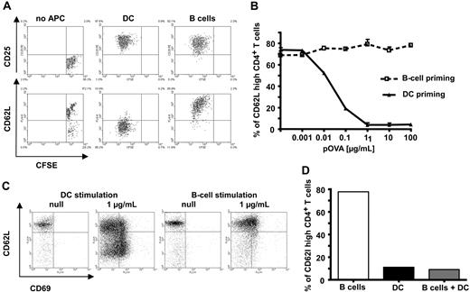 Figure 2. Antigen-specific T-cell activation by B cells leads to generation of T cells with aberrant phenotype. Naive splenic CD4+ T cells were cocultured in vitro with mature DC or B cells, both loaded with specific antigenic peptide. After 72 hours, proliferation and expression of surface markers were determined by fluorescence-assisted cell sorting (FACS). (A) Specific antigenic peptide loaded B cells efficiently induce proliferation and up-regulation of CD25 in CD4+ T cells. In contrast to DC, however, B cells fail to down-regulate CD62L. (B) B cells remain unable to down-regulate CD62L even at high antigen doses. (C) The failure to downmodulate CD62L levels by B cells is not restricted to a two-dimensional environment as it is also seen in a three-dimensional environment using a collagen matrix. (D) CD62L is down-regulated in cultures in which DC were added (10% of corresponding B-cell number). The data shown are representative of 3 to 5 independent experiments.
