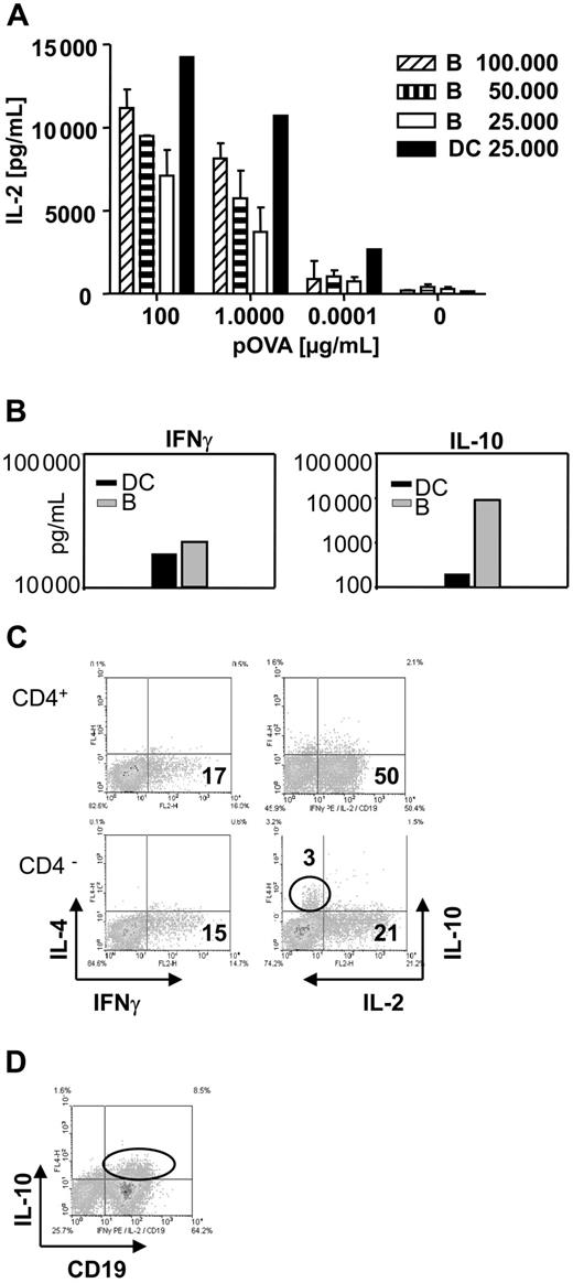 Figure 5. Cytokine profile during the activation of T cells by B cells shows substantial amounts of Th1 cytokines but also high levels of B-cell–derived IL-10. Supernatants were taken from DC–T-cell and from B-cell–T-cell cocultures and analyzed for cytokines by ELISA. Cells were analyzed for intracellular cytokines by FACS at 48 hours of culture. (A) B cells induce substantial amounts of IL-2 in supernatants of B-cell–T-cell cocultures, but DCs are at least twice as powerful on a per-cell basis. Bars represent mean plus or minus SD. (B) While equivalent amounts of IFNγ can be observed in supernatants of DC–T-cell and B-cell–T-cell cocultures, a marked increase in the amount of IL-10 is found in cultures containing B cells. (C) Intracellular cytokine staining reveals that IL-10 is produced by the CD4 negative population. The level of induced IL-4 is low for all cells. (D) Costaining with the specific B-cell marker CD19 identifies B cells as the source of IL-10. The data shown are representative of 3 independent experiments.
