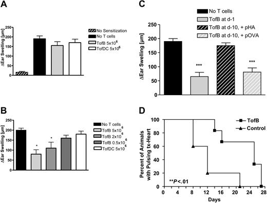 Figure 7. TofBs inhibit priming of T cells during immune responses in vivo. (A-C) In a hapten hypersensitivity assay, Balb/C mice were sensitized against DNFB by epicutaneous application on the back. Ears were challenged with DNFB 5 days later and ear swelling was measured 48 hours after challenge. T cells primed by different APCs loaded with T-cell antigen–specific, hapten-unrelated, peptide (pOVA) were intravenously applied at different time points to modulate ear swelling. Ear swelling response is expressed as the difference (μm, mean ± SD) between the thickness of the challenged ear and the vehicle-treated ear. *, P less than.05; ***, P less than .005 versus positive control. (A) Adoptive transfer of primed TofDCs, and TofBs at 24 hours before challenge. Transferred cells were unable to modulate the ear swelling induced by the challenge. (B) In contrast, when T cells were transferred before priming (at d −1), a specific inhibitory effect of TofBs could be seen. The transfer of TofBs but not of TofDCs resulted in a decreased immune response post challenge. (C) TofBs are functioning at 10 days after transfer yet require specific antigen restimulation. The suppressive effect shown after transfer at d −1 (as in panel B) is lost when cells were transferred already at d −10 before priming. However, when hapten priming and specific antigen restimulation (pOVA) occurred together, TofBs were rescued to suppress. In contrast, the application of an unspecific control antigen (pHA; Hemagglutinin peptide) had no effect. (D) In ectopic allogeneic heart transplantation in the mouse model, TofBs effectively inhibit organ rejection. At d −1 before ectopic transplantation of C57BL/6 donor hearts, Balb/c recipients of the treatment group were injected with TofBs, while the control group received only a saline injection. No other immunosuppressive treatment was administered. Graft function was assessed by daily palpation. Rejection was defined as the lack of palpable cardiac contraction. **, P less than.01 vs. control group.
