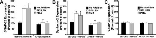 Figure 5. Evaluation of SNAP-23, syntaxin-2, and VAMP-3 on the extracellular surface of activated platelets exposed to trypsin. One set of platelets (BEFORE TRYPSIN) was exposed to either buffer alone, SFLLRN, or PMA and subsequently stained with (A) anti–SNAP-23 IgG, (B) anti–syntaxin-2 IgG, or (C) anti-VAMP-3 IgG. A second set of platelets (AFTER TRYPSIN) exposed to buffer alone, SFLLRN, or PMA was incubated with 5 μg/mL trypsin. Following a 60-minute incubation, trypsin was neutralized using an inhibitor cocktail and platelets were stained with (A) anti–SNAP-23 IgG, (B) anti–syntaxin-2 IgG, or (C) anti-VAMP-3 IgG. Values are reported as percent of control compared with signal detected in unstimulated samples exposed to nonimmune antibodies. Error bars represent the standard deviation of 3 to 6 independent experiments.