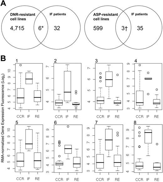 Figure 4. Intersection union testing of genes up-regulated between IF patients and drug-resistant cell lines. (A) Differential expression between IF patients and drug-resistant cell lines identified 7 up-regulated genes. (B) Box-plot distributions for 8 up-regulated genomic classifiers, including 2 probes for LATS2: (i) 207761_s_at (DKFZ P586AD522), (ii) 216203_at (SPLTC2), (iii) 218618_s_at (FAD104), (iv) 218847_at (IMP-2), (v) 223380_s_at (LATS2), (vi) 226550_at (FLJ39602), (vii) 227013_at (LATS2), and (viii) 235824_at (EST). These data show differential expression in genes with shared upregulation in the IF cohort, compared with the RE and CCR subsets. Boxes indicate the range of data for each data set; vertical bars with horizontal lines represent the error bars associated with each data set.
