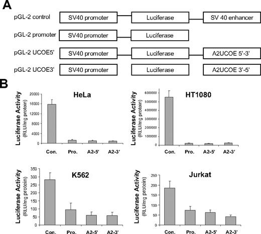 Figure 2. The A2UCOE lacks classic enhancer activity. (A) Illustration of the pGL-2 plasmid vector–based constructs. The pGL-2 promoter construct consists of a minimal, enhancer-less SV40 promoter driving a luciferase reporter gene. A 2.2-kb BamHI fragment consisting of a minimal A2UCOE (Figure 1A) was inserted downstream of the luciferase gene in pGL-2 promoter in both forward (pGL-2 UCOE5′) and reverse (pGL-2 UCOE3′) orientations. The pGL-2 control construct has the SV40 enhancer element inserted at the same position as the A2UCOE test fragment and acts as a positive enhancer control. (B) The 4 plasmids illustrated in panel A were used to conduct transient transfection assays in HeLa, HT1080, Jurkat, and K562 cells. Total protein cell lysates were analyzed for luciferase activity 24 hours after transfection. The mean and standard deviation of triplicate experiments for each cell line are shown. Con indicates pGL-2 control; Pro, pGL-2 promoter; A2-5′, pGL-2 A2UCOE5′; and A2-3′, pGL-2 A2UCOE3′. Note that the pGL-2 A2UCOE5′ and pGL-2 A2UCOE3′ test constructs give luciferase activities that are no higher than pGL-2 promoter in all 4 cell lines, indicating the absence of a classic enhancer function within this element.