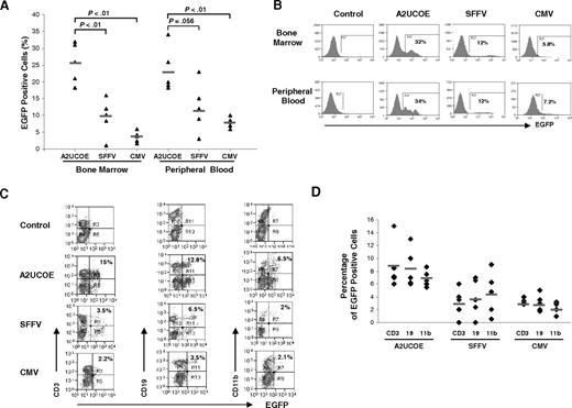 Figure 4. The A2UCOE-EGFP vector gives rise to consistent transgene expression in bone marrow and peripheral blood hematopoietic cells in vivo. HSCs were isolated from the bone marrow of C57BL/6J mice and transduced with the A2UCOE-EGFP, SFFV-EGFP, and CMV-EGFP lentiviral vectors (Figure 1B) at an MOI of 20 to 25 and transplanted into lethally irradiated recipient animals. Total peripheral blood and bone marrow cells were obtained at 3 months after transplantation and analyzed for the presence of EGFP-positive cells by FACS. (A) Percentage of total EGFP-positive cells in bone marrow and peripheral blood from A2UCOE, SFFV, and CMV mice (n = 5 in each group). The horizontal bar shown in each column denotes the mean percentage value of EGFP-positive cells in each group. The P values were determined using the Wilcoxon rank sum test. (B) Expression profiles of a representative mouse that received a transplant in each group. The percentage of total EGFP-positive cells is shown in each plot. Note that the A2UCOE-EGFP vector generates a higher percentage of transgene-expressing cells (panel A) as well as discrete peaks of EGFP-positive cell populations (panel B), suggesting a negation of integration-site position effects leading to more consistent transgene expression compared with that achieved with SFFV and CMV viral promoters. (C) Peripheral blood cells from mice transduced with the A2UCOE-, SFFV-, and CMV-EGFP lentiviral vectors were incubated with antibodies against CD3 (T-cell), CD19 (B-cell), and CD11b (myeloid) lineage markers and scored against EGFP expression by FACS analysis. EGFP expression profile in different cell lineages in a representative mouse that received a transplant, corresponding to panel B (bottom row, peripheral blood), in each lentiviral vector group. (D) Total percentage of EGFP-positive cells in T-, B-, and myeloid cell lineages in peripheral blood from A2UCOE, SFFV, and CMV vector–transduced mice (n = 5 in each group). The horizontal bar shown in each column depicts the mean percentage value of EGFP-positive cells in each cell lineage.