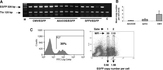 Figure 5. A2UCOE-EGFP gives stable, high efficiency expression per vector copy. (A) Genomic DNA derived from bone marrow of mice that received transplants ex vivo of HSCs transduced with the CMV-EGFP, SFFV-EGFP, and A2UCOE-EGFP vectors (Figure 4) was subjected to standard PCR for the presence of transgene (EGFP) and endogenous murine titin (Ttn) sequences and products were resolved by agarose gel electrophoresis. M indicates DNA size markers; C, mock control mouse bone marrow sample. (B) Summary of real-time quantitative PCR analysis of the same samples shown in panel A to determine lentiviral vector copy number. Error bars denote 1 standard deviation about the mean. (C) Determination of vector copy number in subpopulations of EGFP-expressing total bone marrow cells transduced with the A2UCOE-EGFP lentiviral vector. (Left) A representative sample of A2UCOE-EGFP vector–transduced bone marrow cells was sorted by FACS to isolate either low (gate 1) or high (gate 2) EGFP fluorescence intensity cells. DNA was then isolated from the sorted pools of cells and analyzed by QPCR as in panel B. (Right) Profile showing the sorting gates and corresponding mean fluorescence intensity (MFI). Average lentiviral vector copy number per cell is indicated. Note that the A2UCOE gives a higher number of EGFP-positive cells at a lower vector copy number than either the SFFV or CMV promoters (summarized in Table 1), with a clear trend toward copy number–dependent expression.