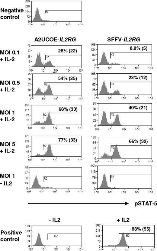 Figure 6. Rescue of JAK3-mediated STAT-5 tyrosine phosphorylation in human ED-7R cells. The A2UCOE-IL2RG and SFFV-IL2RG lentiviral vectors (Figure 1B) were used to transduce human ED-7R cells at MOIs of 0.1, 0.5, 1, and 5. At 4 days following transduction, cells were stimulated with IL-2, subsequently stained with antiphosphorylated STAT-5 (pSTAT-5) antibody, and assessed for the presence of pSTAT-5 expression by FACS. The percentage of pSTAT-5–positive cells and MFI (in parentheses) is shown. Negative control indicates untransduced ED-7R cells stimulated with IL-2; positive control, ED-7R cells stably transfected with an IL2RG transgene.