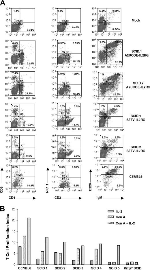 Figure 7. Efficient immunologic reconstitution in mice following ex vivo bone marrow HSC gene transfer. (A) HSCs from SCID-X1 mice were transduced with either the A2UCOE-IL2RG or SFFV-IL2RG lentiviral vectors (Figure 1B) and transplanted into lethally irradiated 3KO Il2rg−/−Rag2−/−c5−/− mice (see “Materials and methods, SCID mouse model and ex vivo lentiviral vector–mediated IL2RG gene transfer”). At 3 months following engraftment, spleens were analyzed for reconstitution of T-, B-, and NK-cell lineages by FACS. Cells were stained with anti-CD8, -CD4, -NK1.1, -IgM, and -B220 antibodies. Reconstitution of all cell lineages is observed in A2UCOE-IL2RG vector–transduced mice and SFFV-IL2RG vector–transduced mice (2 SCID-X1 mice transduced with the A2UCOE-IL2RG and 2 transduced with SFFV-IL2RG lentiviral vectors are shown). Mock indicates 3KO; Il2rg−/−Rag2−/−c5−/− SCID-X1 mouse that received only untransduced HSCs. Percentages within quadrants represent the percentage of the total cell population analyzed that is present in that quadrant. (B) T-cell proliferation assay. Splenocytes isolated from mice transduced with A2UCOE-IL2RG were stimulated with Concanavalin A (Con A), IL-2, and Con A plus IL-2. Proliferating cells were assessed by incorporation of 3H-thymidine and expressed as a proliferation index (the ratio of the stimulated cells to unstimulated cells). All 5 mice transduced with A2UCOE-IL2RG showed an increased cell proliferation index compared with an untreated animal.