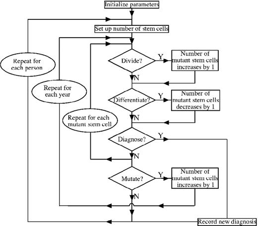 Figure 3. Organization of program modeling new mutations and fate of subsequent clones. The program is outlined in the text and listed in Document S1.