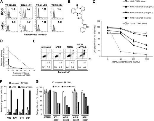 Figure 1. Screening of natural compounds using the TRAIL-resistant cell line KOB. (A) TRAIL receptor expression was analyzed by FCM. Shaded and unshaded peaks correspond to specific and control staining, respectively. RFI (the ratio of mean fluorescence intensity for specific staining to that for control staining) is indicated in each panel. (B) The structure of the cycloanthranilylproline-derivative, Fuligocandin B (FCB). (C) Inhibition of cell proliferation. KOB cells (3.5 × 105/mL) were cultured for 48 hours with TRAIL and/or sFCB and cell proliferation was evaluated by MTS assay. The sensitivity of Jurkat cells to TRAIL is also indicated. (D) Isobolographic analysis. The fractional inhibitory concentrations were determined by using the IC50 of either agent alone or in combination. Sums of less than 1, 1, and greater than 1 indicate synergy, additivity, and antagonism, respectively. Four experimental points were found to be significantly below the theoretical additive line (dotted line), indicating a synergistic effect. (E-G) Combined treatment of ATLL cell lines, primary ATLL cells, and normal PBMCs. Cells (3.5-5.0 × 105/mL) were incubated for 48 hours with 500 ng/mL of TRAIL, 2.5 μg/mL of sFCB, sFCB→TRAIL (TRAIL was added after incubation with sFCB for 24 hours), or without reagents. (E) Annexin-V/PI staining of KOB. Percentages of intact cells, and early and late apoptotic cells are indicated in the bottom panels. (F) Annexin-V-positive cells in various ATLL cell lines are indicated. (G) Results of MTS assays of primary ATLL cells and normal PBMCs. Values are expressed as mean plus or minus SD.
