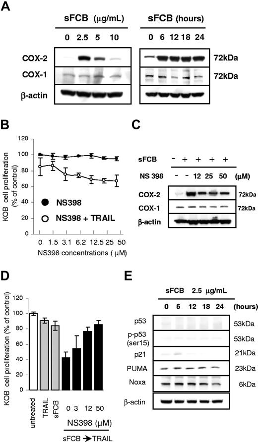 Figure 4. Increase of COX-2 expression by sFCB treatment. (A,C,E) Western blot analysis. 3.5 × 105 KOB cells/mL were incubated for 24 hours with sFCB, NS398, or both at the concentrations and for the time course indicated. Using 30 μg of the cell extract, proteins were detected with the antibodies described in “Materials and methods, Western blot analysis and antibodies.” (B) Effects of TRAIL and NS398. Cells were incubated for 48 hours with NS398 and/or 500 ng/mL of TRAIL and cell proliferation was assessed by MTS assay. (D) Inhibition of synergism. Cells were treated as described in Figure 1E. Indicated concentrations of NS398 were added and cell proliferation was assessed by MTS assay. Values are expressed as mean plus or minus SD.