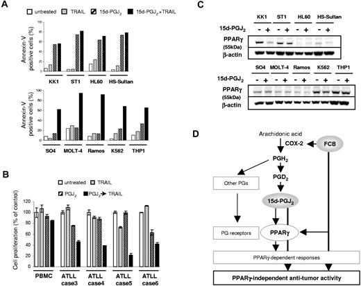 Figure 7. 15d-PGJ2 enhance TRAIL sensitivity in various leukemia cell lines. (A) Annexin-V/PI staining; 3.5–5.0 × 105 cells/mL were incubated for 48 hours with 15d-PGJ2, TRAIL, or both. Percentages of Annexin-V-positive cells are indicated. Concentrations of each agent are as follows. KK1, ST1, and SO4: 10 μM 15d-PGJ2 and 500 ng/mL TRAIL. HL60, HS-sultan, Ramos, and K562: 10 μM 15d-PGJ2 and 125 ng/mL TRAIL. THP-1: 10 μM 15d-PGJ2 and 10 ng/mL TRAIL. MOLT-4: 2.5 μM 15d-PGJ2 and 125 ng/mL TRAIL. (B) 5.0 × 105 cells/mL cells were incubated for 48 hours with 500 ng/mL TRAIL, 10 μM 15d-PGJ2, both, or neither. Cell proliferation was assessed by MTS assay. (C) Effect of 15d-PGJ2 treatment on PPARγ expression. Cells were treated for 24 hours using the above described concentrations of 15d-PGJ2, and Western blot analysis was performed using 30 μg of the cell extract. (D) Proposed cascade of FCB-mediated sensitization to TRAIL-induced apoptosis. Values are expressed as mean plus or minus SD.