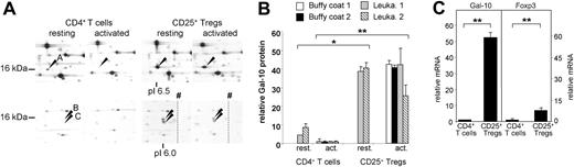 Figure 2. Differential expression of galectin-10 protein and mRNA in CD4+CD25− T cells and CD25+ Treg cells. (A) Selected gel regions showing the different protein spot intensities of galectin-10 isoforms A-C in resting and activated human CD4+ T cells and CD25+ Tregs. Due to gel size, the IEF rod gels were cut in 2 halves at approximately pI 6.0 to 6.4 before further processing. Arrowheads show cutting edges, which were due to technical reasons. In this context, please also see Figure S6. (B) The ratios of protein spot intensities were calculated on the basis of 2D PAGE from sets of T cells derived from 4 individual human volunteers (performed as triplicates each; mean plus or minus SD from each triplicate shown; asterisks indicate P values as defined in “Materials and methods, Statistical analysis”). For proteome analysis, freshly isolated (leukapheresis products) as well as stimulated (leukapheresis products and buffy coats) T-cell populations were used. Due to limited recovery of CD25+ Treg cells isolated from buffy coats, only stimulated T-cell populations were analyzed. (C) Quantification of relative galectin-10 (Gal-10) mRNA levels compared with Foxp3 in freshly isolated CD4+ T cells and CD25+ Treg cells. cDNA samples were subjected to qRT-PCR. The relative quantities of galectin-10 and Foxp3 mRNA were normalized according to the expression of EF1-α mRNA. The qRT-PCR data are representative of 3 independent experiments; measurements were performed in triplicates; mean plus or minus SD from each triplicate shown; asterisks indicate P values as defined in “Materials and methods; Statistical analysis”.