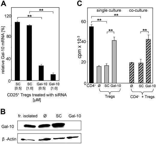 Figure 4. Galectin-10 specific siRNA abolishes the anergic state and suppressive activity of human CD25+ Tregs. (A) Freshly isolated CD25+ Treg cells were nucleofected with 0.5 or 1 μM of siRNA targeted to galectin-10 (Gal-10) or with control siRNA (scrambled control SC). At 24 hours after nucleofection, RNA was prepared and used for qRT-PCR analysis. The expression level was normalized to expression of EF1-α. The qRT-PCR data are representative of 4 independent experiments; measurements were performed in triplicates (mean ± SD from each triplicate shown; asterisks indicate P values as defined in “Materials and methods, Statistical analysis”). (B) At 48 hours after nucleofection, galectin-10 protein expression was examined by galectin-10–specific Western blot analysis. (C) At 48 hours after nucleofection, T cells were stimulated with anti-CD3 mAb (0.5 μg/mL) and irradiated PBMCs. CD25+ Treg cells in coculture with CD4+CD25− T cells were irradiated. Proliferation was determined by 3H-Tdr incorporation. Representative results of 4 independent experiments are shown; measurements were performed in triplicates (mean ± SD) from each triplicate are shown; asterisks indicate P values as defined in “Materials and methods, Statistical analysis”).