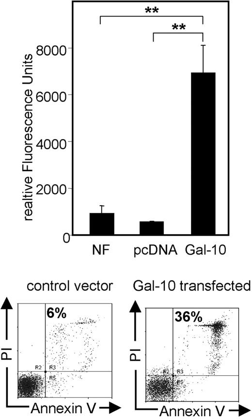 Figure 6. Enhanced caspase activity and apoptosis in CD4+ T cells after transfection with galectin-10. T cells were resuspended in Nucleofector solution and mixed with 2.5 μg of the galectin-10 expression vector or the empty vector pcDNA 3.1. Cells were immediately nucleofected and resuspended in prewarmed X-VIVO-15. Transfection efficiency was typically around 60% to 65%, controlled by transfection with a GFP-expressing vector and by immunostaining of galectin-10–transfected Jurkat cells. After dead cell removal via Annexin-coupled beads (Miltenyi Biotec), the activities of the active caspase-3 and caspase-7 were measured (Apo-ONE Homogeneous Caspase-3/7 Assay; Promega) as specified by the manufacturer. The amount of fluorescent product generated is representative to the amount of active caspase-3/7 present in the sample. A total of 3 × 105 CD4+ T cells per sample were used. After 15 hours, a SpectraFluor reader was used for detection of relative fluorescence intensities. Results are representative of 3 independent experiments; measurements were performed in triplicates (mean ± SD from each triplicate are shown; asterisks indicate P values as defined in “Materials and methods, Statistical analysis”). In addition, cells were stained for Annexin V and PI and analyzed via FACS.