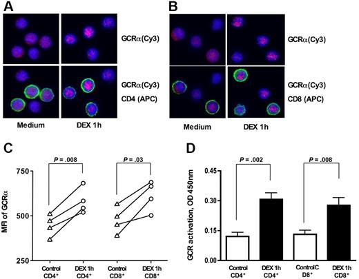 Figure 2. GCRα cellular translocation in human CD4+ and CD8+ lymphocytes in response to 10−7 M DEX treatment in vitro. Freshly isolated PBMCs were stimulated for 1 hour with 10−7 M DEX or remained untreated. Representative images of GCRα cellular translocation in (A) CD4+ and (B) CD8+ T cells in response to DEX treatment are shown (original magnification × 630; blue, DAPI, nuclear staining; red, cy3, GCRα; green, APC, CD4+ or CD8+ T-cell surface staining) (the cells from 4 different donors were evaluated in this assay). Note cytoplasmic localization of GCRα before DEX treatment and increase in nuclear localization of the GCRα after DEX treatment in both CD4+ and CD8+ T cells. See “Materials and methods, GCRα nuclear translocation” for more detailed image acquisition information. (C) GCRα (Cy3) MFI for the nuclear region of CD4+ and CD8+ before and after DEX treatment. (D) Addition of DEX resulted in significant increase in the amount of nuclear GCR in both purified CD4+ and CD8+ cells. GCR was measured in nuclear extracts from CD4+ vs CD8+ T cells plus or minus DEX (1 hour) on the basis of its interaction with GRE consensus motive immobilized to the plate (TransAM GR transcription factor assay). Data are expressed as mean plus or minus SEM (n = 6).