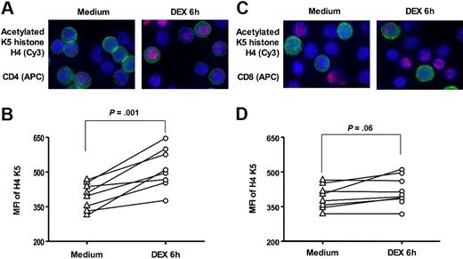 Figure 4. DEX-induced histone H4 K5 acetylation in human CD4+ and CD8+ T cells. Representative images of acetylated histone H4 K5 in CD4+ and CD8+ cells in response to 6 hours of 10−7 M DEX treatment in vitro are shown (original magnification × 630; blue, DAPI, nuclear staining; red, cy3, acetylated histone H4 K5; green, APC, surface staining with (A) anti-CD4 or (C) anti-CD8 APC antibodies). The MFI of cy3 staining (acetylated histone H4 K5) in CD4+ (B) and CD8+ (D) cells was assessed by analysis software within the computer-generated masks for the cell nuclei. Cells (50–100) were analyzed for each donor studied (n = 8). See “Materials and methods, GCRα nuclear translocation” for more detailed image acquisition information.
