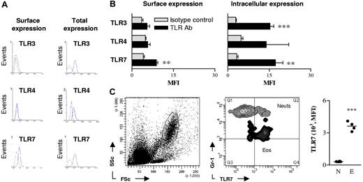 Figure 2. Eosinophils express surface and intracellular toll-like receptors. (A) Eosinophils from the spleens of hypereosinophilic mice were identified by CCR3 expression and high side scatter and stained for TLR-3, TLR-4, and TLR-7. Dashed lines denote isotype control (and were similar to unstained cells); solid lines represent respective TLR antibody. To detect intracellular TLR expression, splenocytes were pretreated with saponin. (B) Summary of mean fluorescence intensity (MFI) of surface and intracellular TLR expression by splenic eosinophils. The mean of 3 independent experiments is shown. (C) Neutrophils (Neuts) and eosinophils (Eos) were identified in the lungs of hypereosinophilic mice by scatter properties (left panel) and Gr-1 expression (middle panel). Comparative MFI of TLR-7 expression on neutrophils (N) and eosinophils (E) is shown in the right panel. Data represent the mean plus or minus SEM (n = 3-8 mice per experimental group). *P < .05; **P < .01; ***P < .001.