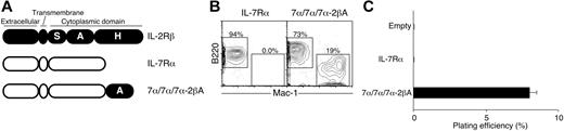 Figure 2. Lineage conversion ability of IL-2Rβ is transferable to IL-7Rα. (A) Diagram of chimeric receptors that are composed of IL-7Rα and subdomains of the IL-2Rβ cytoplasmic tail. The A region of IL-2Rβ was fused to the C terminus of IL-7Rα, resulting in 7α/7α/7α-2βA. Addition of the A region of IL-2Rβ to IL-7Rα enables lineage conversion activity of IL-7R as judged by differentiation readout on (B) OP9 stromal cell cultures and (C) methylcellulose cultures. (B) Percentages indicate total cells in the gates as described in Figure 1C. (C) Error bars represent standard deviation from triplicate samples.