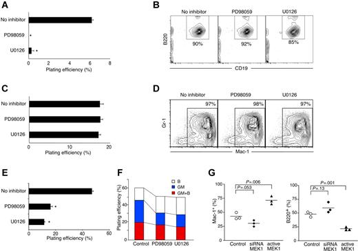 Figure 6. The role of MAPK pathway in lineage conversion and myeloid differentiation. (A) The IL-2RβdH mutant, which has the complete A region with H region removed, was introduced to CLPs. Double-sorted CLPs were first cultured with retrovirus containing supernatant in the presence of SCF, Flt3L, IL-7, and 5 μM PD98059 or 5 μM U0126 for 24 hours. IL-2 was then added into culture to induce lineage conversion, and cells were further cultured for an additional 24 hours. GFP+ cells were sorted onto methylcellulose medium and cultured in the presence of IL-3 and GM-CSF. Plating efficiency was determined by enumerating GM colonies after 5 days of culture. (B) To determine the B-cell developmental potential, CLPs were cultured with retroviral supernatants in the presence of SCF, Flt3L, IL-7, and MEK/ERK inhibitors for 48 hours. GFP+ cells were sorted and cocultured on an OP9 stromal layer with SCF, Flt3L and IL-7. B220+CD19+ B-cell readout was examined by FACS analysis at day 7. (C) CMPs were cultured in the presence of GM-CSF, IL-3, and SCF with MEK/ERK inhibitors as described for panel B. Plating efficiency was determined by counting GM colonies after 5 days of culture. (D) CMPs were sorted and cultured on OP9 stromal layers in the presence of MEK/ERK inhibitors. Fresh medium with inhibitors was added every 3 days during the culture period. The presence of Mac-1+Gr-1+ myeloid cells was examined by FACS analysis. (E) MEK/ERK activation is crucial in myeloid commitment from HSCs. Flt3−c-KithiLin−/loSca-1+ HSCs were sorted and cultured in the presence of MEK/ERK inhibitors as described. GM colony forming ability of HSCs was examined by enumerating colonies in methylcellulose medium supplemented with IL-3 and GM-CSF at day 6 of the culture. (F) Inhibition of MAPK activity represses myeloid cell readout from MPPs. The presence of both Mac-1+ and B220+ cells from single VCAM-1−Flt3+ MPPs was defined as bipotent (GM + B; red), whereas readout of either Mac-1+ or B220+ was defined as single lineage, GM only (blue), or B only (open). Bipotent and single lineage readout was examined in the absence (control) or presence of MEK/ERK inhibitors (PD98059 and U0126). (G) Loss-of-function and gain-of-function effect of MEK1 on lineage decision. HSCs that had been transduced with siRNA targeting MEK1 or with a constitutively active form of MEK1 were injected into RAG2−/− hosts. Peripheral blood was collected at week 4 and percentage of GM (Mac-1+) and B cells (B220+) in the GFP+ donor fraction was analyzed. T cells were under the detectable level in the blood at the time points we examined (2-6 weeks after injection). However, we could identify similar numbers of TCRβ+ T cells in the spleen at week 6 (data not shown). (A,C,E) Error bars represent standard deviation from triplicate samples. (B,D) Percentages indicate total cells in the gates as described in Figure 1C. (G) Horizontal bars represent the mean value from 3 mice.