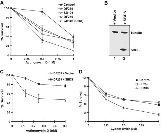 Figure 2. Cells from SDS patients are hypersensitive to actinomycin D in an SBDS-dependent manner. (A) Lymphoblasts from a healthy control, SDS patients (DF250, DF259, and SD101), and an RPS19+ DBA patient cell (CH106) were plated in the presence of increasing concentrations of actinomycin D. Cell viability was assayed after 72 hours. Assays were performed in triplicate per experiment and repeated for a minimum of 3 independent experiments. Bars represent the standard error. (B) DF259 cells were infected with lentivirus containing GFP alone or together with wild-type SBDS cDNA downstream of an IRES sequence. Lentiviral infection was greater than 90% as observed by fluorescence microscopy. Cell lysates were analyzed by immunoblotting with antibodies against SBDS and tubulin. (C) DF259 cells infected with lentivirus containing empty vector or full-length SBDS cDNA were plated in the presence of increasing concentrations of actinomycin D. Cell viability was assayed in triplicate per experiment and repeated for 3 independent experiments. Bars represent the standard error. (D) Lymphoblasts (normal control, DF259, and CH106) were plated in the presence of increasing concentrations of cycloheximide. Cell viability was assayed after 72 hours in triplicate for each experiment for a total of 3 independent experiments. Bars represent the standard error.