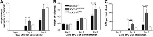 Figure 5. Comparison of the response of SOCS3ΔSB/ΔSB and SOCS3ΔVAV/− bone marrow cells to administration of G-CSF in vivo using radiation chimeras. C57BL/6.SJL (Ly5.1) mice reconstituted with SOCS3+/+, SOCS3ΔSB/ΔSB, and SOCS3ΔVAV/− bone marrow cells (4 of each genotype per group) were injected intraperitoneally twice daily with either 2.5 μg/kg G-CSF or saline/BSA vehicle for 4 or 8 days. Mice were killed on days 0, 4, or 8. (A) Peripheral blood neutrophil count. (B) Spleen weight. (C) Peripheral blood colony-forming cells. Peripheral blood (10 μL for G-CSF–treated, 30 μL for vehicle-treated) from all mice was cultured in triplicate in the presence of SCF/IL-3 for 7 days, fixed, and stained, and the number of colonies was counted at × 40 magnification. Results are means (± SD).