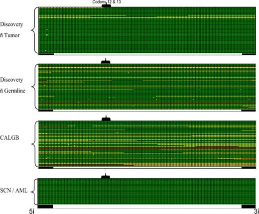 Figure 1. NRAS exon 2 sequence coverage maps. Sequence coverage for exon 2 of NRAS is shown for the Discovery set of 94 AML samples (both tumor and skin), the 94 CALGB AML samples, and the 22 SCN-AML samples; each row represents an individual sample. Each column represents a single nucleotide position starting from the 5′-intronic region (■), through exon 2 of NRAS (□) and 3′-intronic region (■). The position of codons 12 and 13 of NRAS is highlighted. High-quality double-stranded sequence is shown in green, single-stranded coverage in yellow, and no coverage in red.