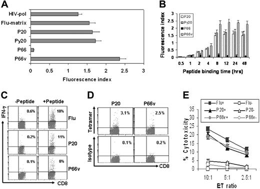 Figure 2. Binding affinity and in vivo immunogenicity of DKK1 peptides. Peptide binding assay showing (A) affinity and (B) stability (fluorescence index) of P20 and P66 and their heteroclitic peptides for HLA-A*0201 molecules. HIV-pol and Flu-matrix peptides were used as positive controls. (A) T cells were incubated with 100 μg/mL peptides overnight. (B) T2 cells were incubated with 100 μg/mL peptides for different time points, and analyzed for surface HLA-A*0201 expression. Details are provided in “Materials and methods.” (C) Intracellular staining for CD8+ IFN-γ–expressing T cells in the splenocytes of mice immunized with Flu-matrix peptide (Flu), P20, or P66v peptides. Splenocytes were restimulated with or without the immunizing peptides for 5 days before analysis. (D) HLA-A*0201-peptide-tetramer staining showing DKK1 peptide-specific CD8+ T cells in the splenocytes. (E) Cytotoxicity of the splenocytes against mouse DCs pulsed with the immunizing peptides (Flu+, P20+, or P66v+) or unpulsed DCs (Flu−, P20−, or P66v−). Representative results of 3 independent experiments are shown. The error bars in panels A, B, and E indicate SD of the 3 experiments. The numbers in the quadrants in panels C and D show the percentages of HLA-A*0201-DKK1 peptide (P20 or P66v)–tetramer positive staining CD8+ cells.