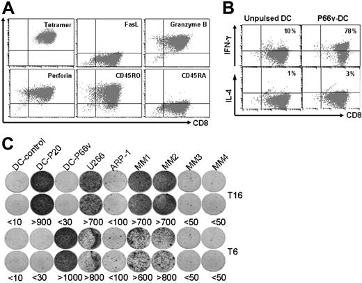 Figure 7. Cytolytic pathways and cytokine expression profile of the T-cell clones. (A) Flow cytometry analysis showing the expression of FasL, granzyme B, perforin, CD45RA, and CD45RO by the P66v-specific T-cell clone. HLA-A*0201-P66v-tetramer staining was used as control. (B) Intracellular cytokine staining showing the percentages of IFN-γ and IL-4–expressing CD8+ T cells in the P66v-specific T-cell clone after restimulation with unpulsed DCs or DCs pulsed with P66v peptide (P66v-DC). (C) ELISPOT assay showing the numbers of IFN-γ–secreting cells per 104 T cells in P20-specific (T16) or P66v-specific (T6) T-cell clones induced by unpulsed DCs (DC-control), DCs pulsed with P20 (DC-P20) or P66v (DC-P66v), HMCLs (U266 and ARP-1), or primary myeloma cells from 4 patients with MM (MM1-MM4). Figures represent the numbers of spots. Representative results of 4 experiments are shown. Similar results were obtained with other T-cell clones from blood donors and patients with myeloma.