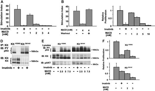 Figure 4. Lipid rafts are required for proliferation induced by wild-type and oncogenic Kit. (A) Effect of MβCD on KL-mediated proliferation of Mo7e cells. 3H-thymidine incorporation over a time period of 12 hours of Mo7e cells stimulated with KL for 24 hours in the absence or in the presence of imatinib (1 μM) or MβCD at the indicated concentrations was determined. The stimulation index was measured as the ratio of incorporated radioactivity by KL-stimulated cells and unstimulated cells, measured in triplicate (all values ± 1 SD). (B) Reversibility of the growth inhibitory effect of MβCD on Mo7e cells. To rule out irreversible toxic effects of MβCD, a washout experiment was performed for the incubation of cells in the presence of 4 mM MβCD, the highest concentration used in A. The stimulation index was determined using Mo7e cells incubated in either the absence or presence of 4 mM MβCD. After 24 hours, cells were washed and resuspended in fresh media with or without MβCD for 6 hours before 3H-thymidine incorporation in the presence or absence of KL for 12 hours. (C) Effect of MβCD on the proliferation of HMC-1 cells. 3H-thymidine incorporation over a time period of 12 hours was analyzed after incubation of the cells in media alone or in the presence of either imatinib (1 μM) or MβCD for 24 hours at the indicated concentrations. Relative proliferation refers to the ratio of incorporated radioactivity by cells at their respective media conditions and untreated cells. (D) Comparison of the effect of imatinib on murine Kit558V>G and Kit814D>V expressed in Ba/F3 cells. Cells were incubated for 12 hours in either media alone or media containing 1 μM imatinib. Immunoprecipitated Kit protein was analyzed for tyrosine phosphorylation (top) and the presence of Kit protein (bottom). (E) Analysis of the effects of imatinib and MβCD on Akt activation mediated by Kit558V>G or Kit814D>V. Lysates from Ba/F3 Kit558V>G or Ba/F3 KitD814V cells incubated for 6 hours in media alone or in the presence of 1 μM imatinib or MβCD at the concentrations indicated were separated by SDS/PAGE and analyzed with antibodies against phosphotyrosine, Kit, and phosphorylated Akt (Ser473). (F) Growth inhibitory effect of MβCD on Ba/F3 Kit558V>G or Ba/F3 Kit814D>V cells. 3H-thymidine incorporation of Ba/F3 Kit558V>G or Ba/F3 Kit814D>V cells was analyzed in the absence or in the presence of imatinib (1 μM) or MβCD at the indicated concentrations. Relative proliferation refers to the ratio of 3H-thymidine incorporation of cells in their respective media conditions and in media alone.