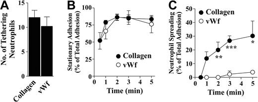 Figure 1. Differential abilities of collagen- and VWF-bound thrombi to induce neutrophil spreading under flow. Citrated whole blood was perfused over either VWF (100 μg/mL) or collagen (2 mg/mL) matrices for 5 minutes at 1800 s−1 to obtain platelet thrombi. Nonadherent platelets were removed by a further 5-minute perfusion with cell-free unsupplemented Tyrode buffer at 1800 s−1 followed by perfusion of isolated neutrophils (1 × 106/mL) in Tyrode buffer supplemented with 1 mM CaCl2/MgCl2 for 5 minutes at 150 s−1. Neutrophil-platelet interactions were visualized by phase-contrast microscopy and the number of neutrophils tethering in the first 30 seconds of perfusion (A), the proportion of tethering neutrophils forming stationary adhesion contacts (B), and the proportion of tethered neutrophils exhibiting spreading (C) were quantitated. Results are presented as means (± SEM; n = 4). *P < .05, **P < .01, ***P < .001.