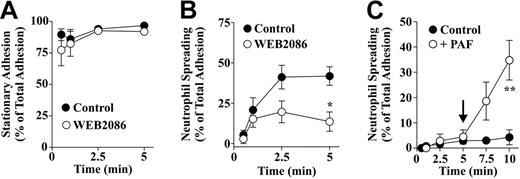 Figure 6. PAF receptor inhibition with WEB2086 specifically inhibits neutrophil spreading on SCIP monolayers. (A,B) Isolated neutrophils (1 × 106/mL) in Tyrode buffer containing 1 mM CaCl2/MgCl2 were pretreated with Me2SO (Control) or 30 μM of the PAF receptor antagonist, WEB2086, for 5 minutes prior to perfusion over SCIP monolayers at 150 s−1 for 5 minutes. Neutrophil-platelet monolayer interactions were visualized by phase-contrast microscopy and the proportion of adherent neutrophils forming stationary adhesion contacts or spreading was quantitated. Results are presented as means (± SEM; n = 4). *P < .05. (C) Isolated neutrophils were perfused over spread platelet monolayers at 150 s−1 for 5 minutes. At the end of the 5-minute cell perfusion, Tyrode buffer supplemented with vehicle (Control) or exogenous PAF (+ PAF) (700 nM) was perfused over adherent neutrophils for 5 minutes. The proportion of neutrophils exhibiting spreading was quantitated over the 10-minute perfusion period. Results are presented as means (± SEM; n = 4). **P < .01.
