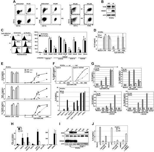 Figure 7. Impaired CpG-ODN responses in Hmgb1−/− cells. (A) Wt and Hmgb1−/− immortalized or primary hematopoietic progenitor cells (HPCs) expressed the DC markers CD11b and CD11c following incubation with GM-CSF for 7 days, or expressed CD11b and F4/80 after culture with macrophage medium for 10 days. Although HPCs are uniformly round and nonadherent, following differentiation they become adherent and acquire a macrophage-like morphology. (IFLDCs indicates DCs derived from immortalized fetal liver. HPCs; PFLDCs, DCs derived from primary fetal liver HPCs.) (B) Protein levels of HMGB1, TLR9, and actin in wt and Hmgb1−/− IFLDCs. (C) Wt and Hmgb1−/− IFLDCs endocytosed comparable levels of CpG-ODN or GpG-ODN. Cells were treated with CpG-ODN-Cy5 (0.1 or 1.0 μg/mL for 1 hour, left panel), CpG-ODN-Cy5 (1018, 10 or 100 nM), or GpG-ODN-Cy5 (1019, 10 or 100 nM) for the indicated time points (right panel), and then subjected to FACS analysis. (D) Wild-type and Hmgb1−/− IFLDMs were seeded at 1 × 105/well in a 96-well plate (in triplicate) and treated with CpG-ODN (1018, 10 to 1000 nM), LPS (0.1 μg/mL), or PGN (10 μg/mL). After 24 hours, IL-6 secretion was assessed by ELISA (bars represent the average of triplicates ± SD). Experiments were replicated 3 times. (E) Wt and Hmgb1−/− IFLDCs were seeded at 1 × 105/well in a 96-well plate (in triplicate) and treated with CpG-ODN (1018, 1 to 1000 nM), LPS (0.1 μg/mL), or PGN (10 μg/mL). After 24 hours, IL-6, IL-12, and TNFα secretion was assessed by ELISA (bars represent the average of triplicates ± SD). Experiments were replicated 5 times. (F) Wt and Hmgb1−/− IFLDCs were seeded at 1 × 105/well in a 96-well plate (in triplicate) and treated with CpG-A (2216, 1 to 1000 nM, top panel) or CpG-ODN (1018, 0.1 or 1.0 μg/mL, bottom panel) in the presence or absence of DOTAP (10 μg/mL), or LPS (0.01 or 0.1 μg/mL, bottom panel), or left untreated. After 24 hours, IL-12 (top panel) or IL-6 (bottom panel) secretion was assessed by ELISA (bars represent the average of triplicates ± SD). (G) Wt and Hmgb1−/− PFLDCs were seeded at 0.8 × 105/well in a 96-well plate (in triplicate) and treated with CpG-ODN (1018, 100 or 1000 nM) or CpG-A (2216, 100 or 1000 nM) in the presence or absence of DOTAP (10 μg/mL), or LPS (0.1 μg/mL), or left untreated. After 24 hours, IL-6 and IL-12 secretion was assessed by ELISA (bars represent the average of triplicates ± SD). ND: not detected. (H) Wt and Hmgb1−/− IFLDCs were treated with CpG-B (1018, 10 μg/mL), CpG-A (2216, 3.3 μg/mL), and poly(I:C) (10 μg/mL) in the presence or absence of DOTAP (10 μg/mL) for 24 hours. Type 1 IFN bioactivity in supernatant samples was detected by a biologic assay against vesicular stomatitis virus.45 (I) Whole-cell lysates were prepared at 16 hours after treatment with CpG-ODN (1018, 10 μg/mL) or LPS (1 μg/mL) and the levels of iNOS, HMGB1, and actin were determined by IB. (n.s. = nonspecific band.) (J) Exogenous rHMGB1 restored cytokine production by Hmgb1−/− IFLDCs in response to CpG-ODN. rHMGB1 (rH1, 0.2 μg/mL) was incubated in the presence or absence of CpG-ODN (1018) for 15 minutes. Wt and Hmgb1−/− IFLDCs were treated with CpG-ODN (1018, 1 or 10 μg/mL) ± rHMGB1, LPS (0.1 μg/mL), or rH1 alone, or left untreated for 24 hours, and the levels of secreted IL-6 were determined by ELISA (bars represent the average of triplicates ± SD).