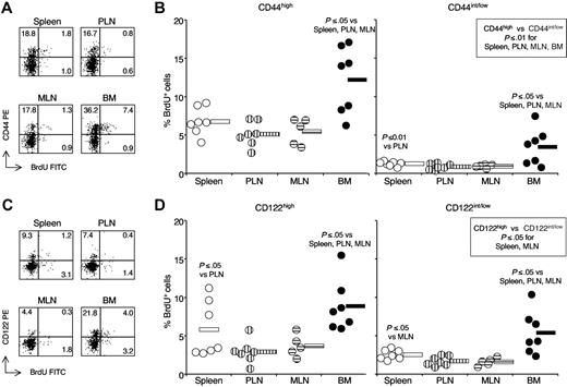 Figure 1. BrdU incorporation by CD8 cells in spleen, PLN, MLN and BM (BM). Single-cell suspensions were prepared from spleen, PLN (ie, inguinal and brachial), MLN, and BM of BrdU-treated B6 mice. After staining with anti-TCR cychrome, anti-CD8 biotin-streptavidin-APC, anti-CD44 PE (A,B) or anti CD122-PE (C,D) mAbs plus either control FITC or anti-BrdU FITC mAb, cells from individual mice were analyzed by flow cytometry. (A and C) BrdU staining. Representative staining profiles of spleen, PLN, MLN, and BM samples after gating on TCR+CD8+ cells. The scales on x-axis and y-axis are logarithmic, in arbitrary units. The numbers represent the percentages of cells within CD8 cells in the indicated quadrant. (B and D) BrdU+ cell percentages within CD8-cell subsets. The percentages of BrdU+ cells within CD44high and CD44int/low (B), CD122high and CD122int/low (D) TCR+CD8+ cells from each organ were determined, after subtraction of background staining with control mAb (≤ 1%). The percentages of BrdU+ cells from individual mice are represented, as well as the average value of each group (horizontal bar). The panels summarize the results obtained in 3 independent experiments. The P values are indicated when P ≤ .05 and P ≤ .01.