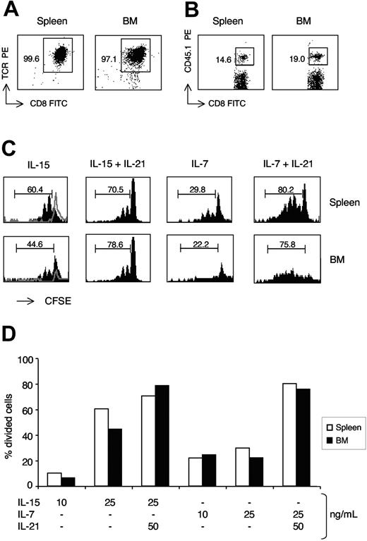 Figure 3. Proliferative response of spleen and BM antigen-specific memory CD8 cells to IL-15, IL-7, and IL-21. OT-I-B6 mice were immunized against OVA as described in “Materials and methods, Immunization.” After 7 to 12 months, CD8+ cells were purified from spleen and BM, labeled with CFSE, and cultured (5 × 104 cells/well) for 7 days in the presence of graded concentrations of IL-15 and IL-7, each tested alone or in combination with IL-21. (A,B) CD8-cell purification and CD45.1 staining. Typical cytometric profiles of total CD8+ cells purified from spleen and BM (A) and of CD45.1 staining within CD8+ cells (B). The scales on x-axis and y-axis are logarithmic, in arbitrary units. Numbers indicate the percentages in the gated region, showing the purity of CD8 cell preparation (A) and the frequency of CD45.1+ OT-I cells within CD8 cells (B). All CD45.1+CD8+ cells were CD45.2− and OVA-tetramer+. (C,D) Analysis of CD45.1+-cell proliferation by CFSE labeling. After 7 days of culture with IL-15, IL-7, and IL-21, cells were analyzed by flow cytometry and the percentage of divided cells, those with decreased CFSE fluorescence intensity, was determined within CD45.1+ cells. For each organ, the marker was set based on CFSE intensity of unstimulated cells. Example of CFSE staining profiles of spleen and BM CD45.1+ CD8 cells in response to IL-15 and IL-7 (each at 25 ng/mL), with or without IL-21 (at 50 ng/mL) (C) and comparison of spleen and BM CD45.1+ CD8-cell proliferative response to graded concentrations of IL-15 and IL-7, each tested alone or in combination with 50 ng/mL of IL-21 (D). In (C), the scale on x-axis is logarithmic, in arbitrary units, and that on y-axis is linear (maximum value 20, except for IL-15+IL-21 panels, which have a maximum value of 80). The unstimulated cell profiles are shown with gray lines. The numbers represent the percentages of cells in the marked region. One representative experiment is shown of 3. For each experiment, cells were pooled from 4 to 5 mice. Differences between BM and spleen were similar in the 3 experiments and not statistically significant (average difference never > 20% for any cytokine concentration).