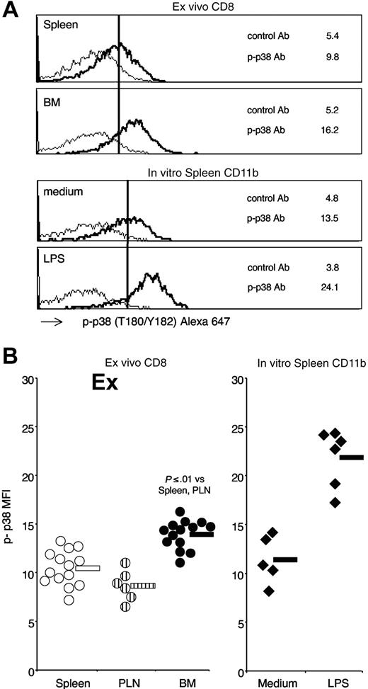 Figure 6. Phospho-p38 MAPK expression by spleen, PLN, and BM CD8 cells. Membrane and intracellular staining of spleen, PLN, and BM CD8 cells were performed as in Figure 5, except that anti-p38 (T180/Y182) mAb was used. (A) Phospho-p38 staining profiles. Representative staining profiles of spleen and BM samples. As a control, spleen cells were incubated for 15 minutes at 37°C with either medium or LPS at 1 μg/mL and CD11b+ cells were analyzed. The scale on x-axis is logarithmic, in arbitrary units, and that on y-axis is linear (maximum value 60 for CD8 and 30 for CD11b panels). The numbers represent the mean fluorescence intensity of phospho-p38 mAb (–) and control mAb (–). (B) Phospho-p38 mean fluorescence intensity. Phospho-p38 mean fluorescence intensity values of spleen, PLN, and BM CD8 cells from individual mice and averages are shown in the left panel. In vitro stimulated spleen CD11b cells from individual experiments and averages are shown in the right panel. Average values are shown by the horizontal bar. The panels summarize the results obtained in 6 independent experiments.
