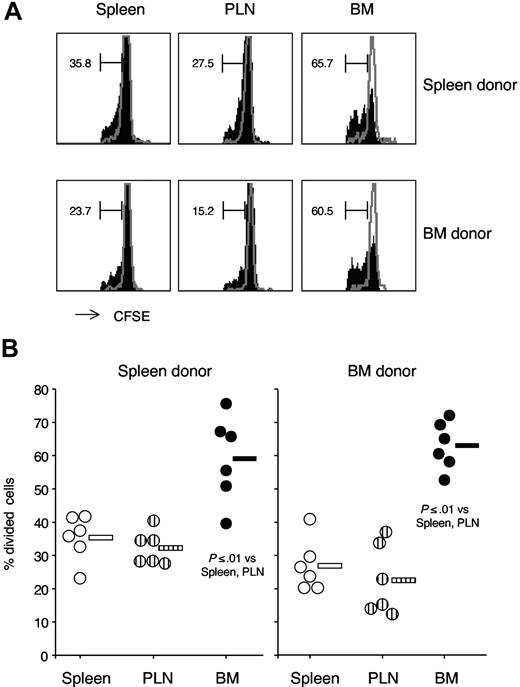 Figure 7. PolyI:C treatment–induced proliferation of adoptively transferred spleen and BM CD8 cells in spleen, PLN, and BM of recipient mice. CD8-enriched cell preparations were obtained by negative magnetic selection from either spleen of CD45.1 B6 mice or BM of B6 mice. In some experiments, the reverse combination of spleen and BM donor mice was used and results were similar. In each experiment, CD8 cell enrichment was checked by flow cytometry and cell preparations from spleen (80%–90% CD8 cells) and BM (40%–50% CD8 cells) were mixed in a 1:1 CD8-cell ratio. After CFSE labeling, donor cells were injected intravenously in CD45.1 B6 mice. The next day, mice were either injected with 150 μg polyI:C or left untreated and CFSE-labeled CD8 cell proliferation was examined after 3 days. Spleen, PLN, and BM cells were stained with TCR Alexa 647, CD8 PerCP-Cy5.5, and CD45.1 PE. CFSE-labeled TCR+CD8+ cells were examined and the percentage of divided cells was determined either within CD45.1+ or CD45.1 − cells. For each experiment, the marker was set based on CFSE intensity of cells from an untreated mouse. (A) CFSE labeling profile. Representative CFSE profiles are shown for either CD45.1+ (spleen donor) or CD45.1 − (BM donor) cells, obtained from spleen, PLN and BM of a polyI:C-treated mouse. Control-cell profiles from an untreated mouse are shown with gray lines. The numbers represent the percentages of divided cells in the marked region. The scale on x-axis is logarithmic, in arbitrary units, and that on y-axis is linear (maximum value 50, except for recipient BM panels, which have maximum value 20). (B) Percentages of divided cells within CFSE-labeled cells. Average values are shown by the horizontal bar. The panels summarize the results obtained in 3 independent experiments.