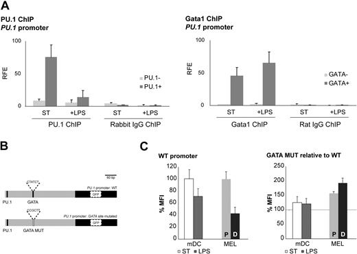 Figure 5. Gata1 regulates PU.1 in DCs. (A) Gata1 and PU.1 ChIP assays were performed with cells from GM-CSF cultures stimulated for 3 days with LPS (+ LPS) or nonstimulated (ST) starting from day 8 of culture. PU.1 ChIP analysis on the PU.1 promoter: amplicon containing PU.1 binding site (PU.1+); amplicon not containing a PU.1 binding site (PU.1−). Gata1 ChIP analysis of the PU.1 promoter: amplicon containing GATA binding site (GATA +); amplicon not containing a GATA binding site (GATA−). Average (± SD) of at least 2 independent experiments analyzed each in triplicate is shown. Corresponding isotype ChIPs (rat IgG or rabbit IgG) are depicted. RFE indicates relative fold enrichment. (B) PU.1 promoter reporter constructs. GATA MUT indicates mutant GATA binding site. (C) GFP expression of the PU.1 promoter reporter constructs in mDCs cultured under standard conditions (ST) and after LPS treatment (LPS) and in proliferating MEL cells (P) and DMSO-induced MEL cells (D). The mean fluorescence intensity (MFI) ± SD obtained from 3 independent experiments is depicted. GFP expression levels with the wild-type promoter are set at 100.
