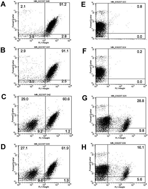 Figure 1. Platelet particle formation, size, and annexin binding induced by anti–GPIIIa49-66 Ab or Ca2+ ionophore. (A) Studies with anti–GPIIIa49-66 Ab. Gel-filtered platelets were labeled with either CD61-FITC (left panels) or annexin-FITC (right panels) incubated with buffer (A,E), control IgG (B,F), or anti–GPIIIa49-66 (C,G) for 4 hours at 37°C and analyzed by flow cytometry (representative of 3 experiments). (B) Studies with Ca2+ ionophore. Similar studies were performed with Ca2+ ionophore as agonist (D,H). The numbers in the quadrants refer to the percentage of cells in the quadrant as determined by fluorescent labeling.