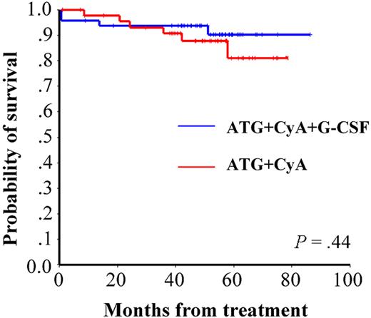 Figure 1. Actuarial survival of adult patients with SAA in the G-CSF− and G-CSF+ groups.