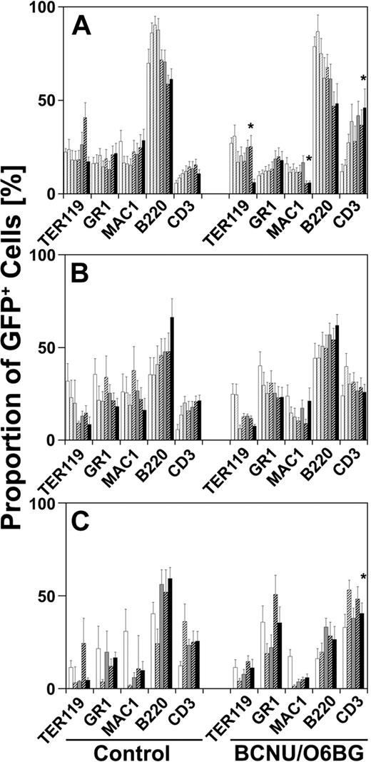 Figure 3. Multilineage differentiation of BCNU/O6BG-selected MGMT P140K–expressing long-term hematopoiesis. FACS analysis of peripheral blood cells from unselected control mice and mice that received a transplant of 4 × 105 cells before (4 weeks after transplantation) and after repetitive monthly injections of 5 μg/g BCNU and 20 μg/g O6BG (8, 12, 16, 20, 24, 28, and 32 weeks after transplantation, indicated by successive bars) was performed 23 to 25 days after each cycle of BCNU/O6BG treatment. The GFP+ hematopoiesis contributed to erythroid (TER119), monocytic (MAC1), granulocytic (GR1), B-lymphoid (B220), and T-lymphoid (CD3) lineages in unselected control animals as well as in BCNU/O6BG-treated mice even after serial transplantation. In primary recipient mice (A), the marked hematopoiesis produced fewer erythroid cells and monocytic cells accompanied by a relative increase in the proportion of the transduced T lymphocytes (*P < .01). In secondary recipients (B), no difference in the lineage contribution of the transduced hematopoiesis was observed with or without BCNU/O6BG treatment (n = 10). An increase in the proportion of marked T-lymphoid cells was detected again after tertiary transplantation in BCNU/O6BG-treated recipients (n = 11, *P < .05), whereas all other cell lineages remained unaffected (C). Standard error of the mean (± SEM) is shown for 11 to 12 individual mice per bar.