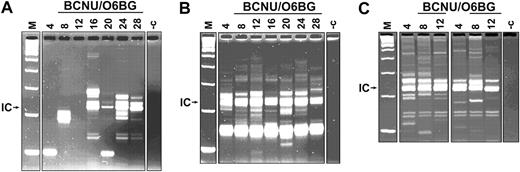 Figure 5. Clonality of serially transplanted long-term hematopoiesis. Representative LAM-PCR analysis of peripheral blood. Multiple clones contributed to the long-term hematopoiesis of the primary (A), secondary (B), and tertiary recipient mouse (C), and the number of these clones was not reduced by BCNU/O6BG administration. M indicates 100-bp DNA ladder; -c, negative control (5 ng DNA extracted from untransduced C57BL/6J bone marrow cells); and IC, internal control band.