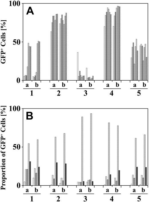 Figure 7. Similar reconstitution of split bone marrow from individual mice in pairs of secondary transplant recipients. Peripheral blood samples from pairs of secondary mice that received a transplant of bone marrow from identical donors were analyzed by FACS at monthly intervals. Kinetics (A) and differentiation (B) of GFP+ blood cells were similar in pairs of secondary mice receiving bone marrow from the same donor. In panel A, time points in months are indicated by successive bars. In panel B, successive bars indicate the proportion of erythroid progenitors, granulocytes, macrophages, B lymphocytes, and T lymphocytes of the GFP+ blood cells 12 weeks after transplantation. Representative pairs of secondary mice with (mice 1 a,b, 2 a,b, 4 a,b) or without BCNU/O6BG treatment (mice 3 a,b, 5 a,b) are shown.
