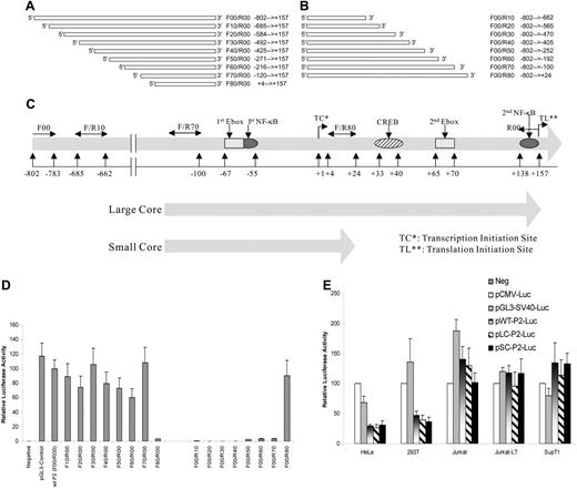 Figure 1. Cloning and core region identification of SHP-1 P2 promoter. (A) Wild-type, full-length (− 802 bp ∼ + 157 bp, 960 base pairs) hematopoietic cell–specific SHP-1 P2 promoter was PCR amplified using primer pair F00 (forward primer, − 802 bp ∼ − 783 bp) and R00 (reverse primer, + 157 bp ∼ + 138 bp) at 1 × 94°C for 3 minutes, 30 × (94°C 30 seconds, 60°C 40 seconds, and 72°C 60 seconds), followed by 1 × 72°C 5 minutes. The amplified fragment was cloned into the pGL3-Enhancer vector, sequence confirmed, and named pwt-P2-Luc. The forward primers (F10 to F80) were subsequently designed so that a series of circa 100-bp 5′-truncated promoter fragments were achieved using the same reverse primer (R00). Similarly in panel B, a series of 3′-truncations was achieved using the same forward primer (F00) and different reverse primers (R10 to R80). (C) Structure of the full-length wild-type promoter (− 802 bp ∼ + 157 relative to the CAP site), large core (− 120 ∼ + 157), and small core (− 120 ∼ + 24), with putative transcription factor binding motifs labeled. (D) Promoter activity analysis of cloned SHP-1 promoter constructs through luciferase assays of the transient transfected Jurkat-LT cell lysates. (E) A comparison of the SHP-1 promoter activity in hematopoietic cell lines (Jurkat, Jurkat-LT, SupT1) and nonhematopoietic cell lines (HeLa, 293T). pGL3-Control and pCMV-Luc are plasmids that carry luciferase reporter gene driven by an SV40 promoter or a CMV promoter. Wt/LC/SC-P2-Luc: pGL3-based plasmid carrying luciferase reporter driven by the full-length wild-type, large core, or small core SHP-1 P2 promoter. Cell lysates were assayed in triplicates for luciferase activity and values represent the mean (± SD) of 2 experiments.