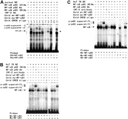 Figure 4. Evaluation of protein-DNA complex formation on the putative NF-κB motifs by EMSA. The sense (as listed in Figure 2 legend) and antisense synthetic oligonucleotides representing either wild-type or single mutant NF-κB sequences were annealed and 32P-labeled to form the double-stranded DNA probes. The 32P-labeled double-stranded 20-bp oligonucleotide probes were incubated with 7.5 μg PMA-stimulated Jurkat (A) or HUT78 (B,C) for 30 minutes at room temperature (RT). For antibody supershift analysis, nuclear extracts were incubated for 10 minutes at RT with 1 μL antibody (Santa Cruz Biotechnology) specific for NF-κB p65 (sc-372x, C-term; and sc-109x, N-term), NF-κB p50 (sc-7178x), or IRF-2 (sc-498x) prior to addition of the 32P-labeled wild-type, mutant NF-κB1, or NF-κB2 probes as indicated at the bottom of each panel. For oligonucleotide competition experiments, 100-fold molar excess of indicated unlabeled probes was added to each binding reaction. The DNA-protein complexes were resolved on 4% native PAGE and exposed to KODAK X-Omat LS films (Rochester, NY). A vertical line has been inserted into panel B to indicate where gel lanes were cut. Note that all images in panel B came from the same experiment. *indicates absence of NF-κB protein-DNA complex in lane 11 when a mutant probe is used.