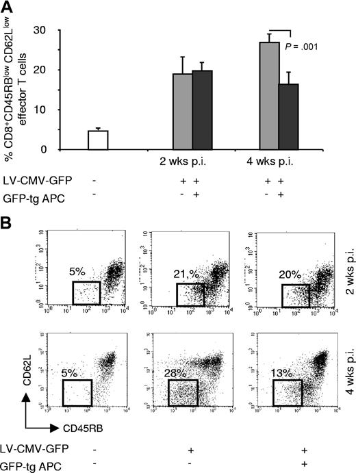 Figure 5. CD8+ effector T cells in mice coinjected with LV-CMV-GFP and GFP-tg APCs. (A) C57BL/6 mice were injected with 15 × 106 GFP-tg APCs the day before LV-CMV-GFP injection. Two and 4 weeks after vector administration splenocytes were isolated from mice injected with vehicle (□), LV-CMV-GFP (▒), or coinjected with LV-CMV-GFP and GFP-tg APCs (■), and percentages of CD8+ effector T cells, defined by expression of CD45RBlow CD62Llow, were assessed. (B) A representative dot plot analysis for each experimental group at the indicated time points is shown. Numbers indicate the percentages of CD8+ CD45RBlow CD62Llow in each group. Data are expressed as average of percentages (± SD). Two experiments were performed to allow analysis at different time points and are both shown (the 2 animals in the control group were pooled from the 2 different experiments; 5 animals in the other groups per each time point are shown).