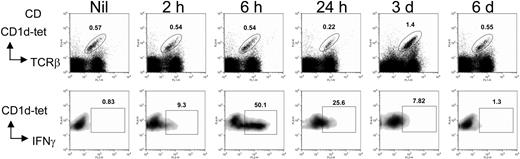 Figure 1. Activation and expansion of NKT cells in vivo after A20/αGC vaccination. A20 cells were cocultured overnight with 1 μg/mL αGC. After washing, these cells (A20/αGC) were irradiated (50 Gy) and intravenously injected into BALB/c mice. Lymphoid cells of the spleen from A20/αGC-vaccinated mice were isolated on indicated time points. The cells were stained with anti-TCRβ Ab plus CD1d tetramer and Ab for intracellular IFN-γ before being analyzed by flow cytometry. TCRβ+CD1d tetramer+ cells were gated and analyzed (bottom panels). Splenocytes from an untreated mouse (Nil) were used as control. Numbers indicate the percentage of each gate.