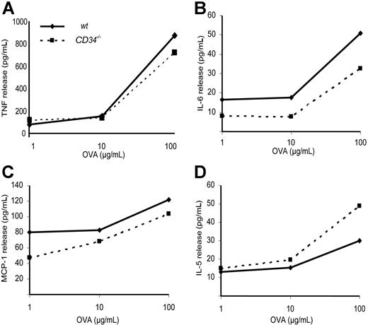 Figure 4. Cytokine recall essay. Isolated total lung tissue cells were cultured for 24 hours with the indicated doses of OVA and cytokine release was measured. (A) TNF, (B) IL-6, (C) MCP-1, and (D) IL-5 release (on a per-cell basis) in response to OVA-stimulation of isolated lung tissue inflammatory cells. There is no statistically significant difference in OVA-specific cytokine release between wt and CD34−/− mice (n=3 independent experiments).
