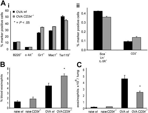 Figure 5. Bone marrow progenitor populations, frequency of blood eosinophils, and lung tissue eosinophil numbers in wt and CD34−/− mice. (A) Frequency of bone marrow hematopoietic progenitor markers in OVA-challenged mice. (Ai) B220+ indicates B lymphocytes; c-kit+, immature progenitors; Gr1+, granulocytes; Mac-1+, monocytes; and Ter-119+, erythroid; (Aii) Lin−Sca−IL5R+ indicates eosinophil progenitors; and CD3+, T lymphocytes. All cells were analyzed by FACS (n=4; error bars represent SEM for each marker). (B) Frequency of blood CD45+/CCR3+ cells (eosinophils) in naive and OVA-challenged wt and CD34−/− mice (n=6; *P=.02; error bars=SEM). (C) Frequency of CD45+/CCR3+ cells in hematopoietic-cell preparations from individual lungs of naive and OVA-challenged wt and CD34−/− mice was analyzed by FACS. Total hematopoietic cells/lung counts were obtained and used to determine total eosinophils/lung. (n=4; *P=.01; error bars=SEM).