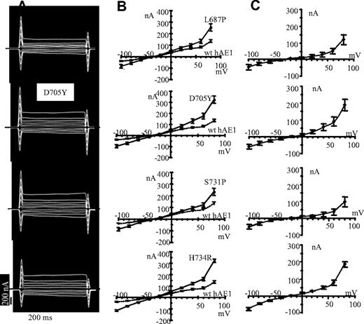 Figure 3. Current recordings in oocytes expressing mutated hAE1. (A) The representative electric signal of oocytes injected with the different hAE1 mutants following voltage clamp protocol. Oocytes were incubated in MBS. (B) The current-voltage curves of oocytes injected with mutant hAE1 (━) compared with wt hAE1 expressing oocytes (----) are plotted. Presented data are means (± SEM) of n oocytes coming from different batches: n = 10 for L687P; n = 11 for D705Y; n = 15 for S731P; n = 23 for H734R; and n = 21 for wt hAE1. (C) Calculated I/V curves giving the features of the current due to hAE1 point mutations only. These calculated I/V curves were obtained by subtracting the mean basal current of wild-type hAE1-injected oocytes (corresponding to dotted line in panel B) to the mean current induced by expression of hAE1 mutations (corresponding to plain line in panel B).
